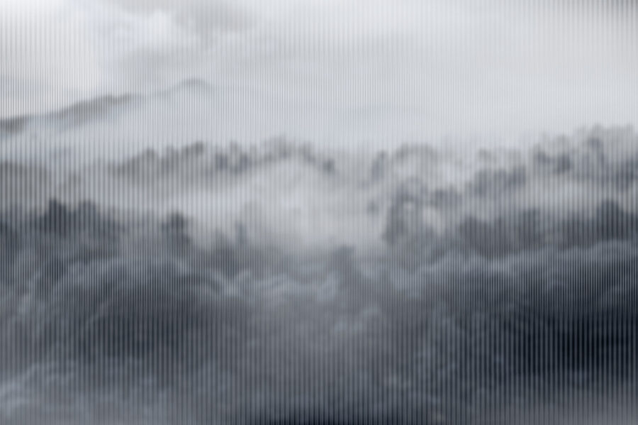 Foggy landscape with trees Foggy landscape with trees