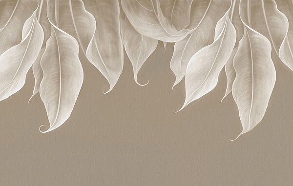 Close up of leaves Close up of leaves