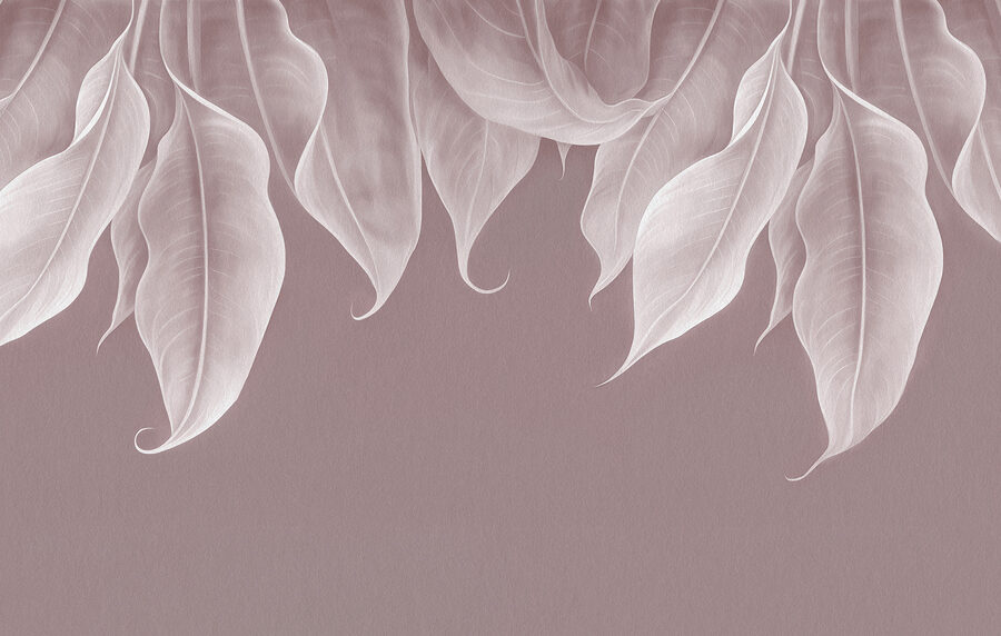 Close up of leaves