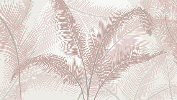 Group of feathers on a white background Group of feathers on a white background