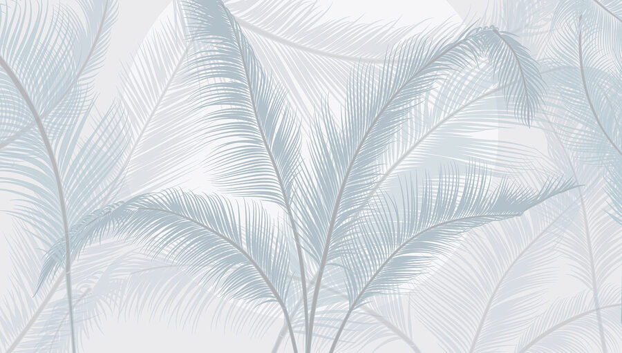 Group of feathers on a white background