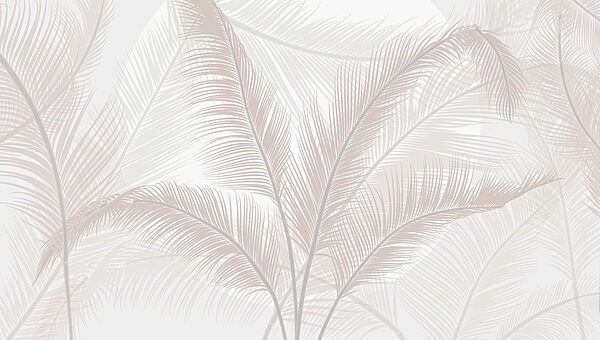 Group of feathers on a white background Group of feathers on a white background