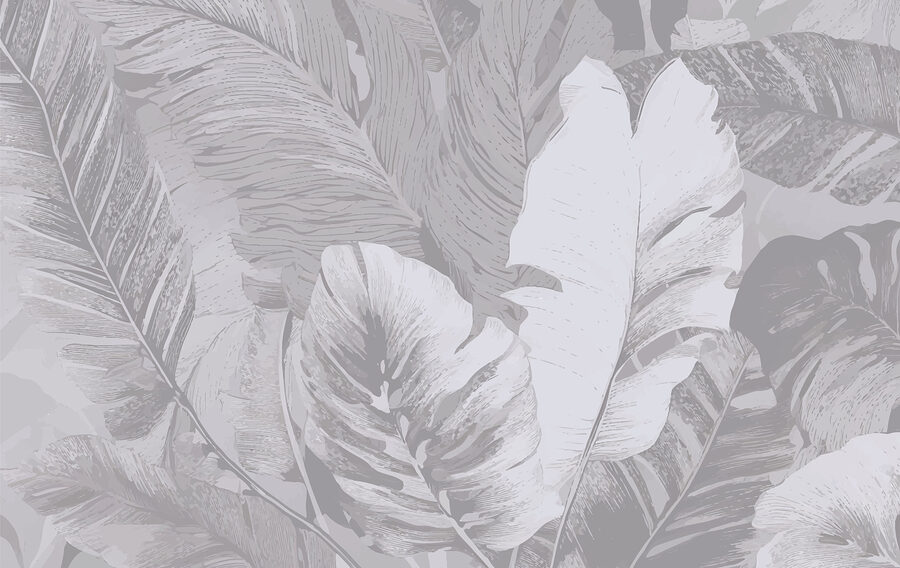 Close up of leaves