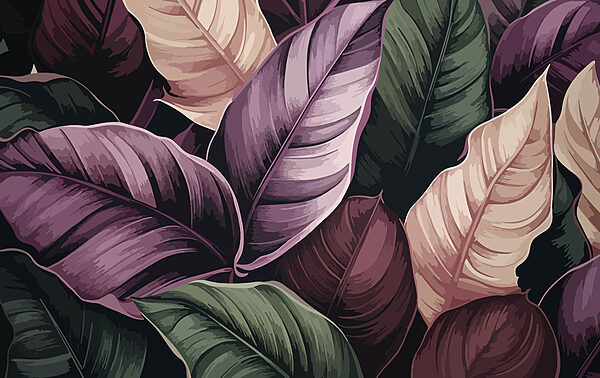 Close up of leaves Close up of leaves