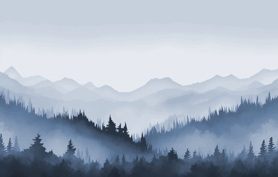 Wall murals Foggy mountain landscape with trees and mountains - Image 4
