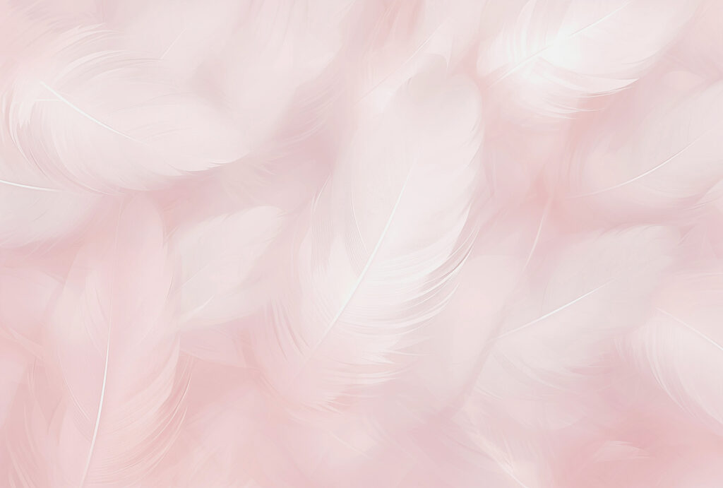 Close up of feathers Close up of feathers