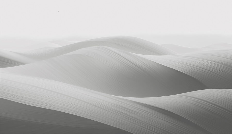 White and grey landscape