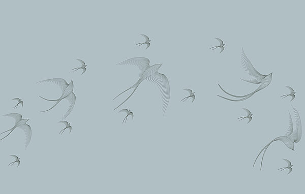 Group of birds flying Group of birds flying