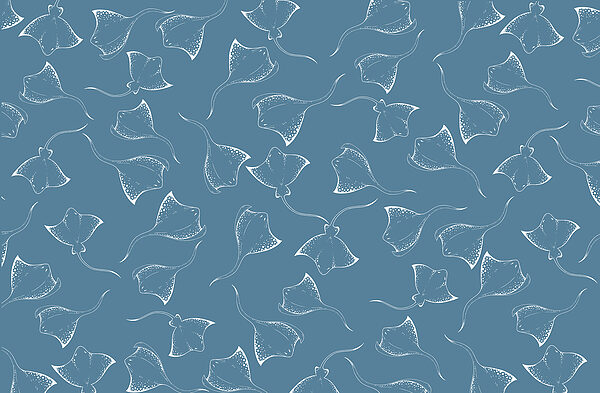 Blue background with white stingrays Blue background with white stingrays