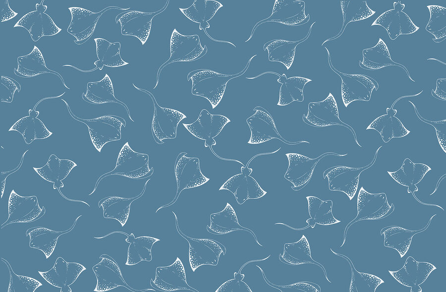 Blue background with white stingrays Blue background with white stingrays