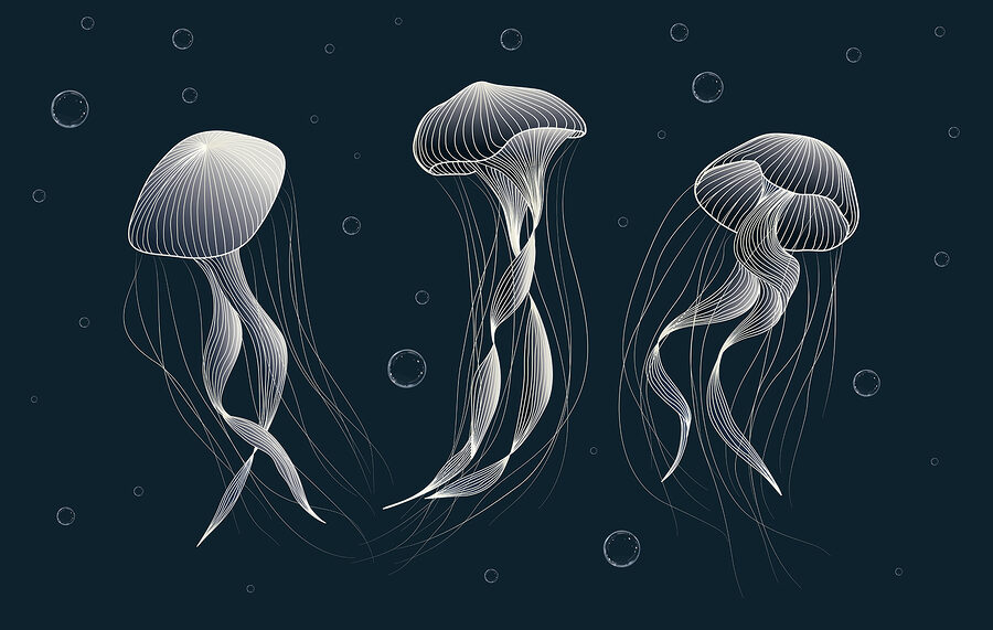 Group of jellyfishes in the water