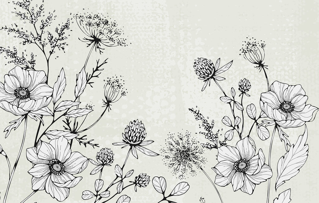 Drawing of flowers and leaves Drawing of flowers and leaves