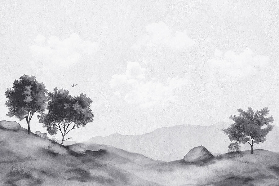 Landscape with trees and rocks Landscape with trees and rocks