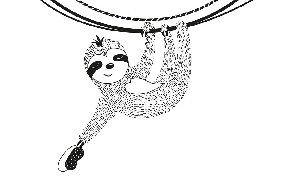 Sloth from a rope