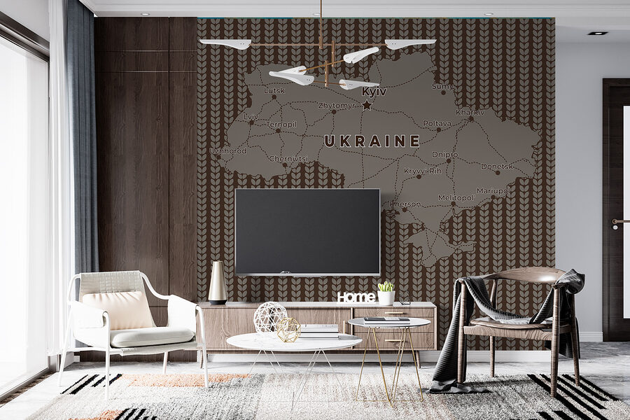 Map of ukraine with lines and cities