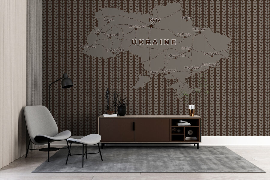 Map of ukraine with lines and cities