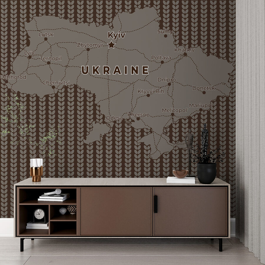 Map of ukraine with lines and cities