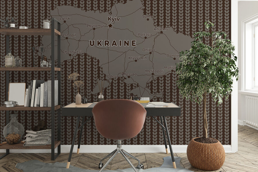 Map of ukraine with lines and cities