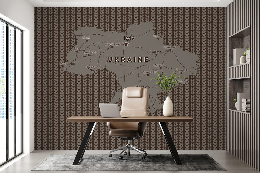 Map of ukraine with lines and cities