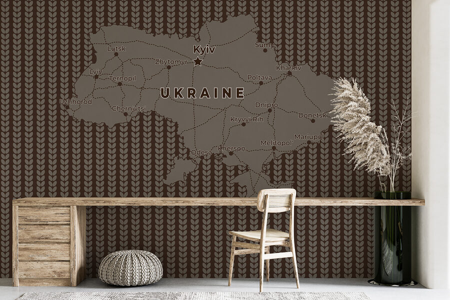 Map of ukraine with lines and cities