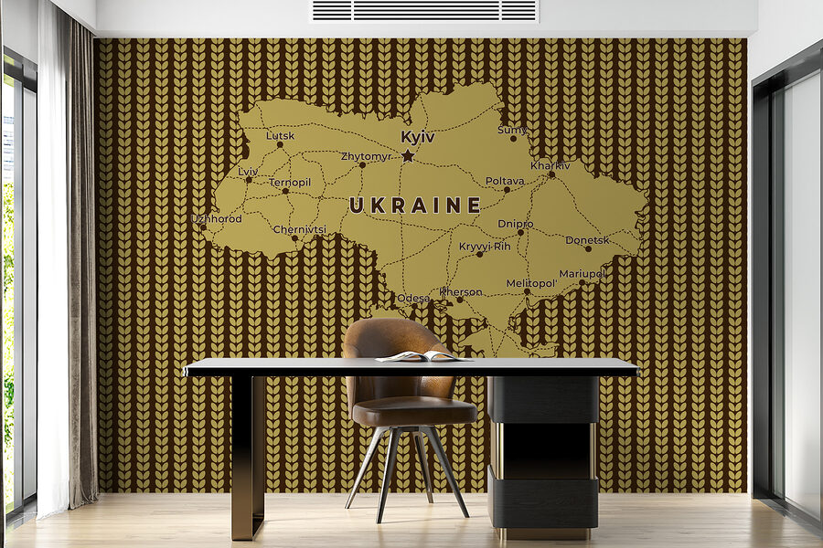 Map of ukraine with lines and cities Map of ukraine with lines and cities
