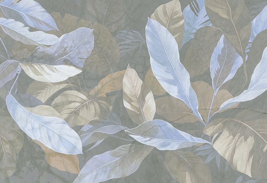 Close up of leaves