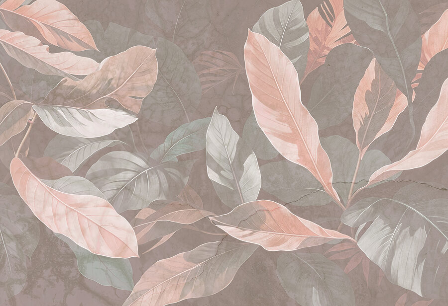 Close up of leaves