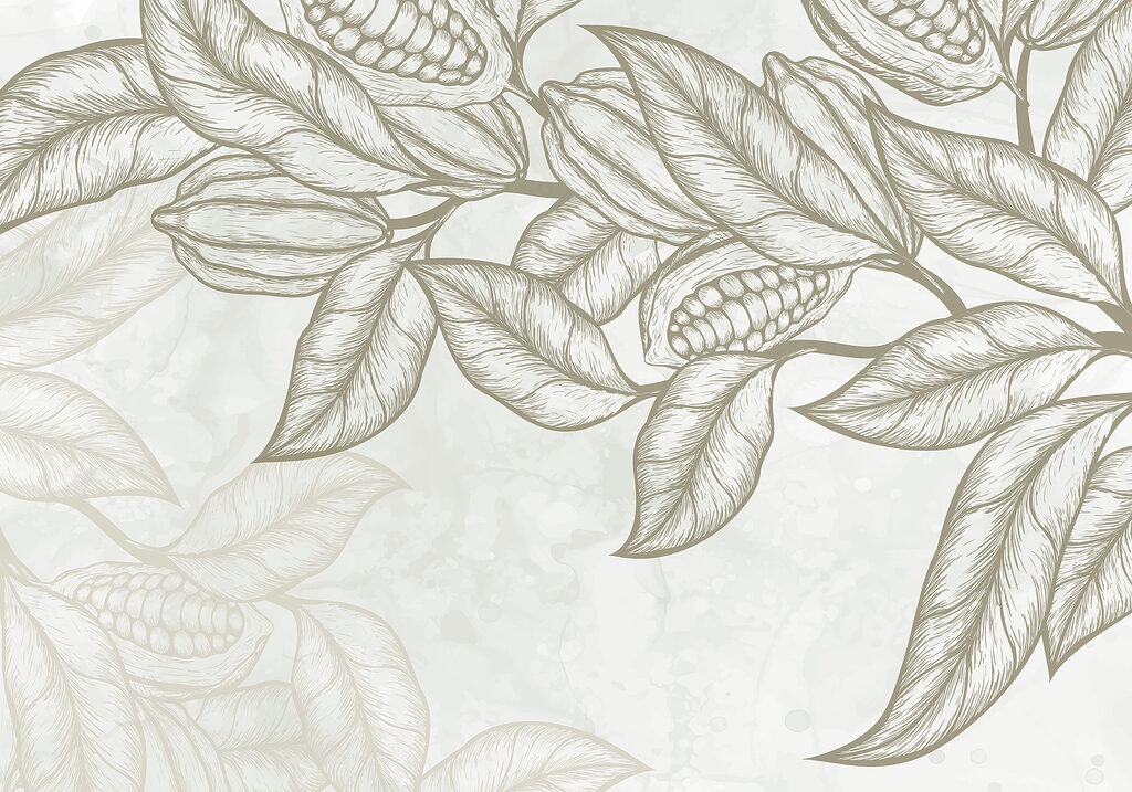 Plant with leaves and beans Plant with leaves and beans