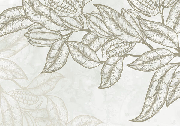 Plant with leaves and beans Plant with leaves and beans