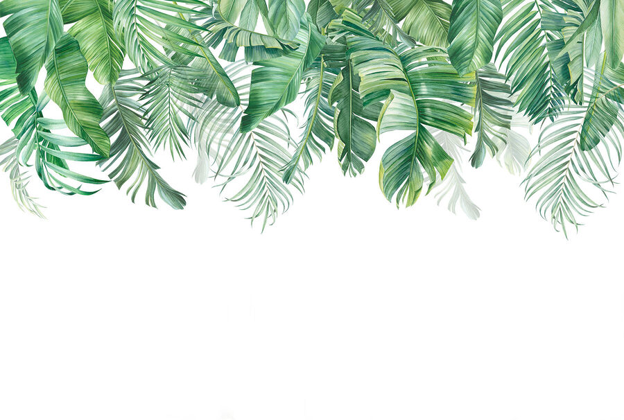 Row of green leaves