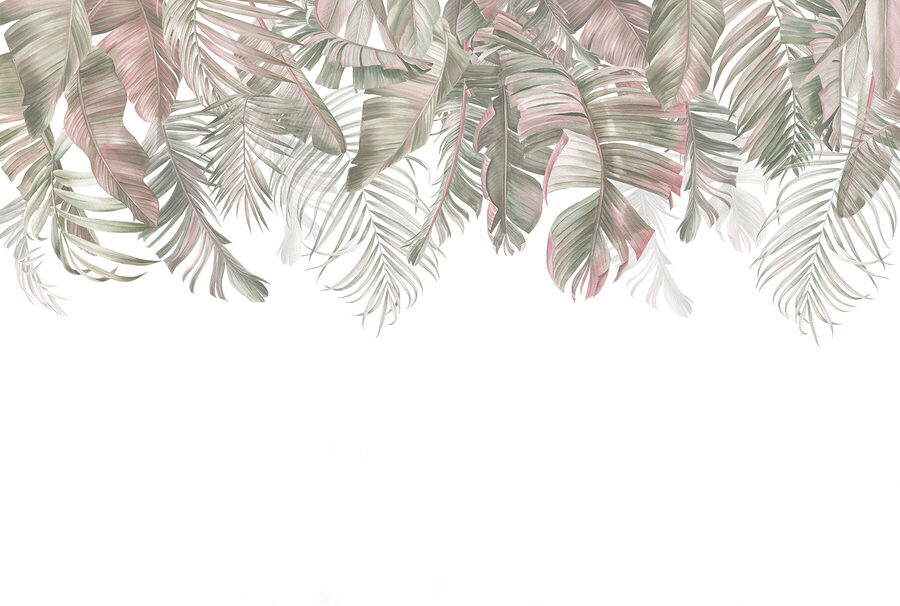 Close up of leaves