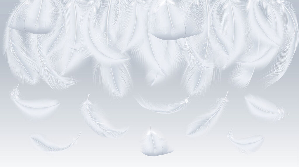 White feathers falling down White feathers falling down