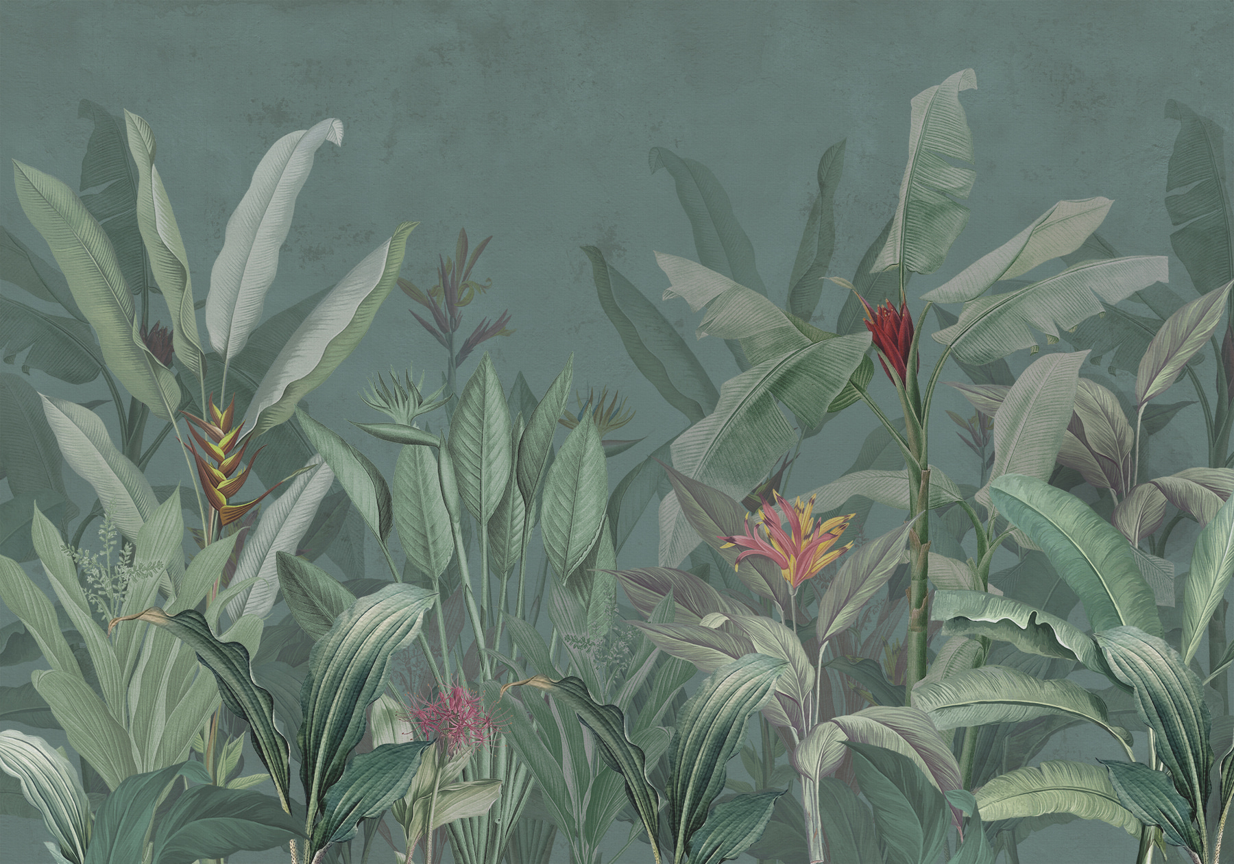 Wallpaper with plants and flowers Wallpaper with plants and flowers