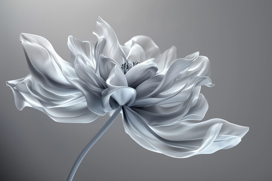 Wall murals White flower with a long stem - Image 3