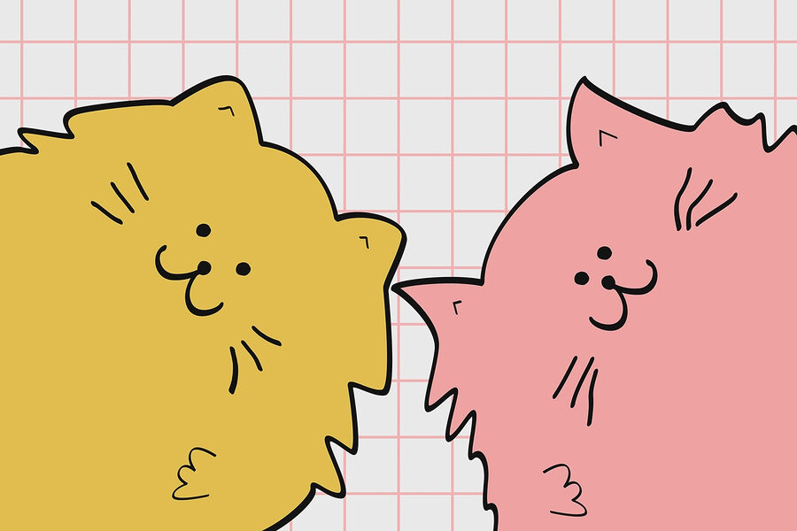 Yellow and pink cat