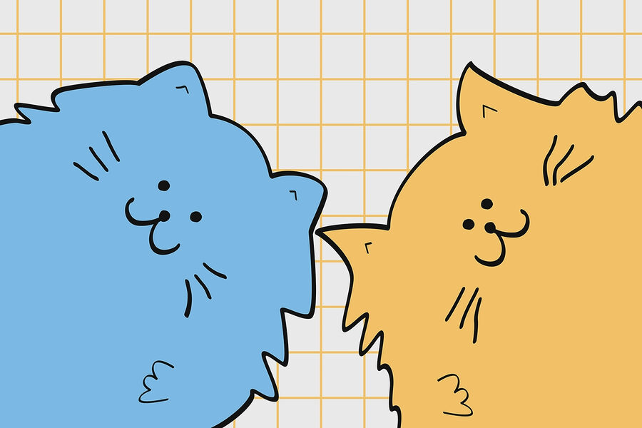 Blue and yellow cat