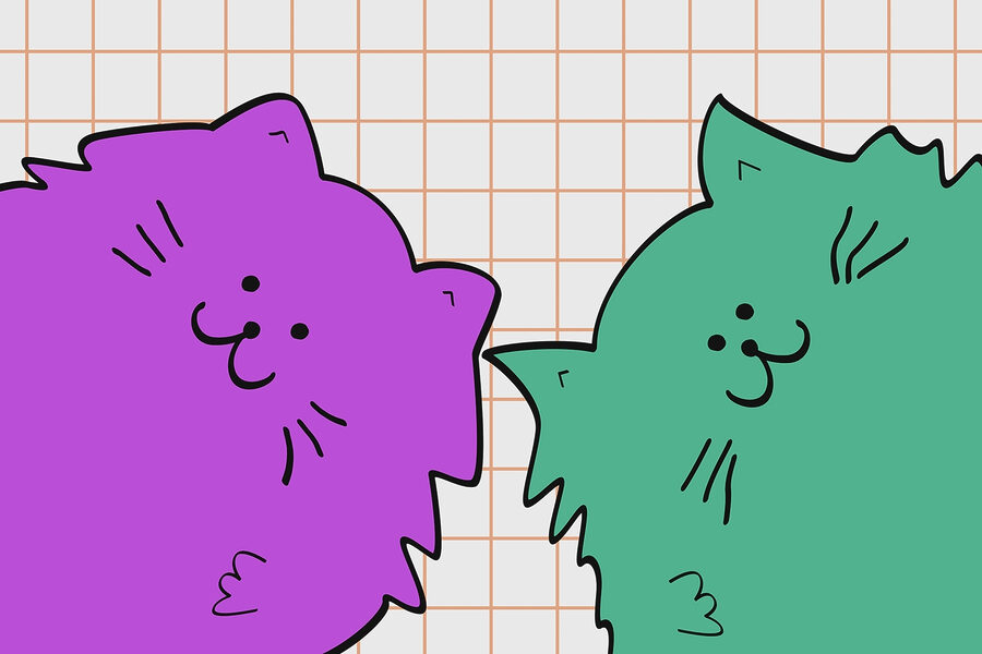Purple and green cat