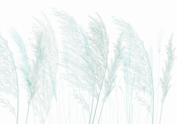 Close up of grass Close up of grass