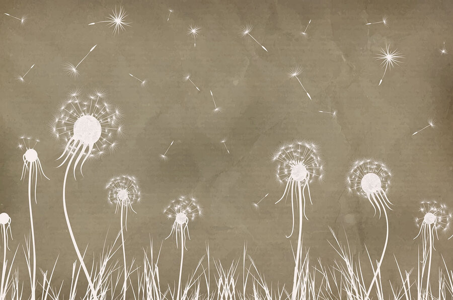Wall murals Dandelion flowers and grass - Image 3