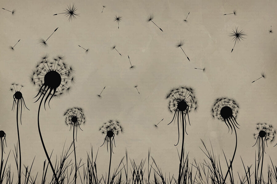 Wall murals Dandelions blowing in the wind - Image 3