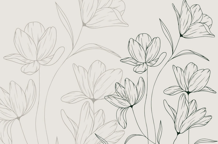 Wall murals Drawing of flowers on a white background - Image 3