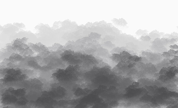 Black and white image of clouds Black and white image of clouds