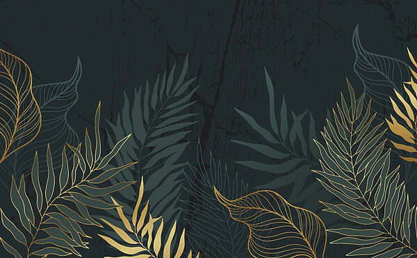 Elegant foliage on a dark backdrop Elegant foliage on a dark backdrop