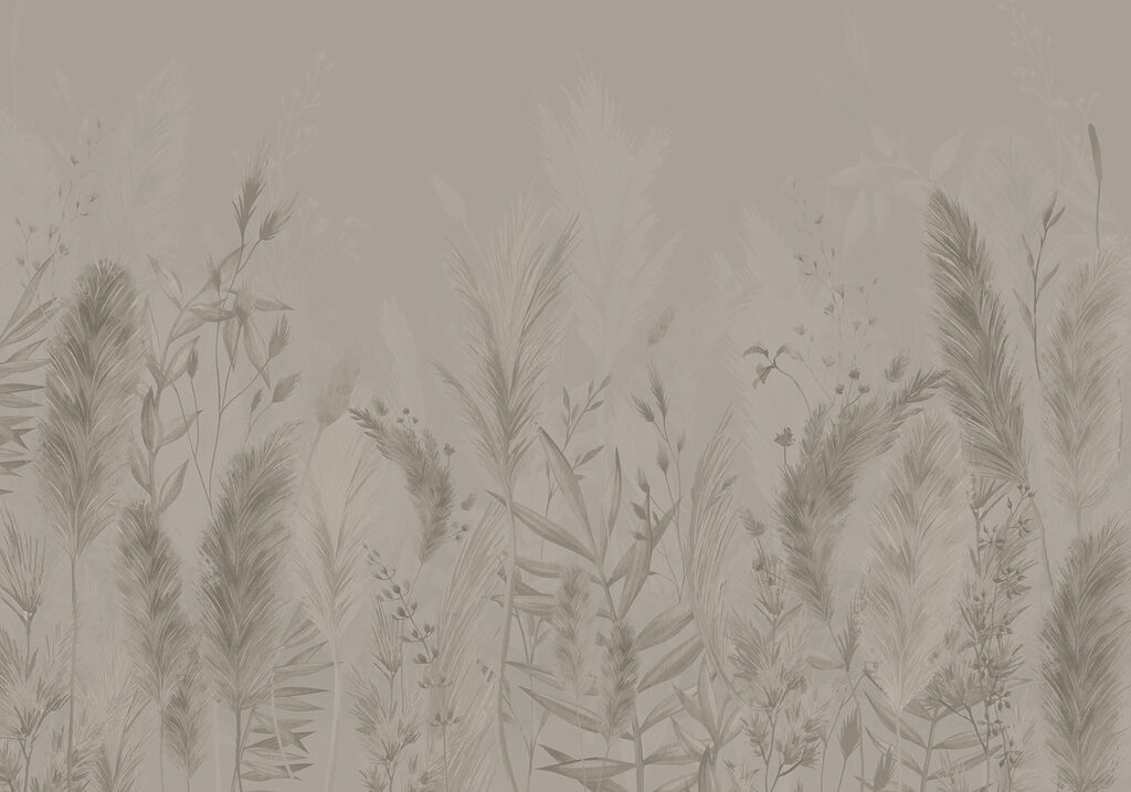 Soft textures of nature’s beauty. Soft textures of nature’s beauty.