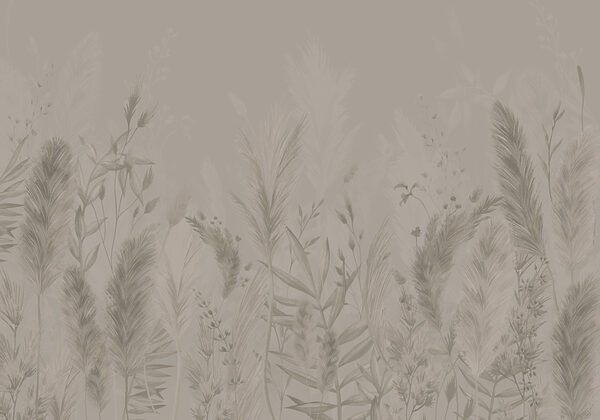 Soft textures of nature’s beauty. Soft textures of nature’s beauty.