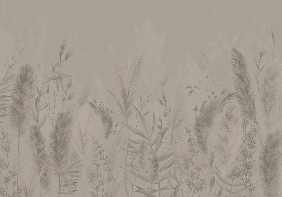 Soft textures of nature’s beauty. Soft textures of nature’s beauty.
