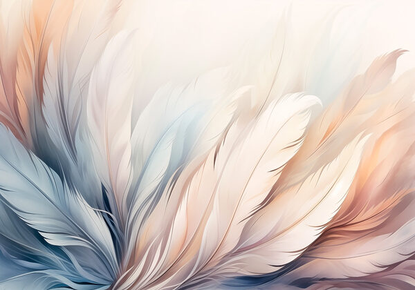 Delicate hues of soft feather textures Delicate hues of soft feather textures