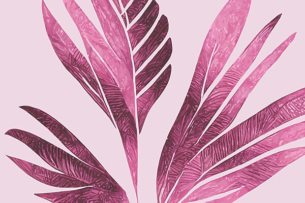 Elegant pink foliage on soft background Elegant pink foliage on soft background