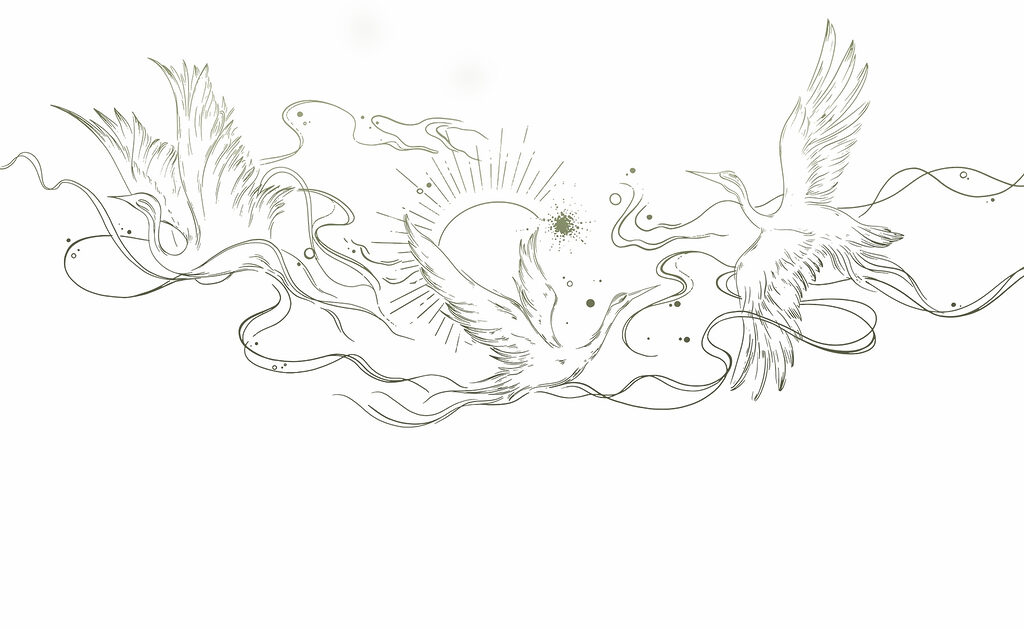 Drawing of birds and sun Drawing of birds and sun