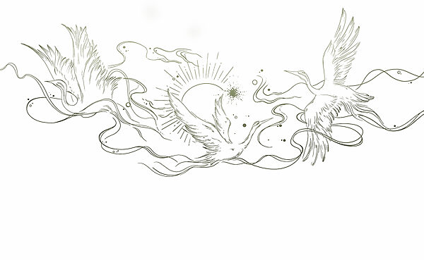 Drawing of birds and sun Drawing of birds and sun